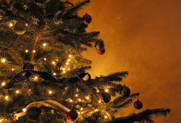 My Christmas Holiday Wish for Grieving Hearts…