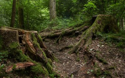 When We Sink Into Depression…