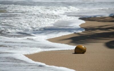 Grief Emotions are Often Overwhelming
